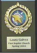 Picture of Hologram Plaques - MVP (1507)